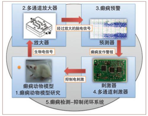 图8　癫痫检测-抑制闭环系统的各分系统